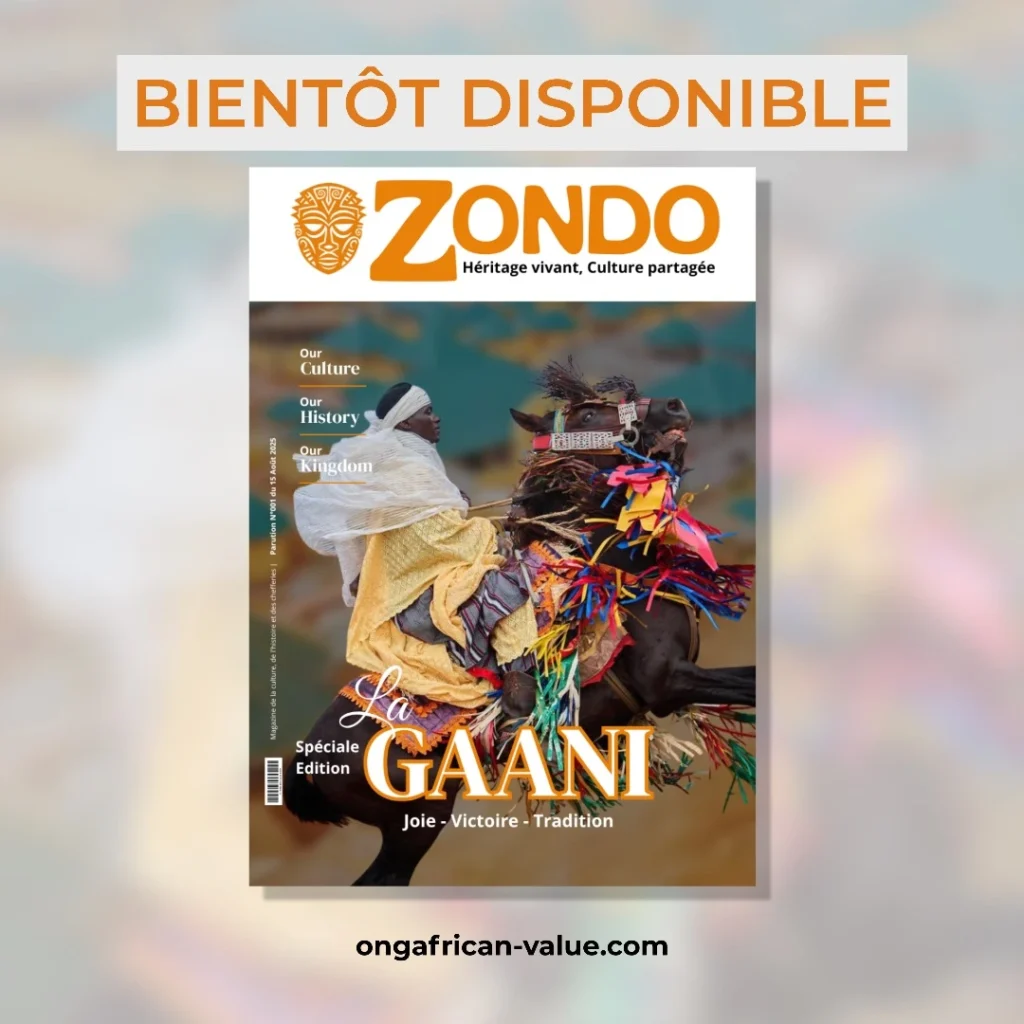 Nos projets african value3